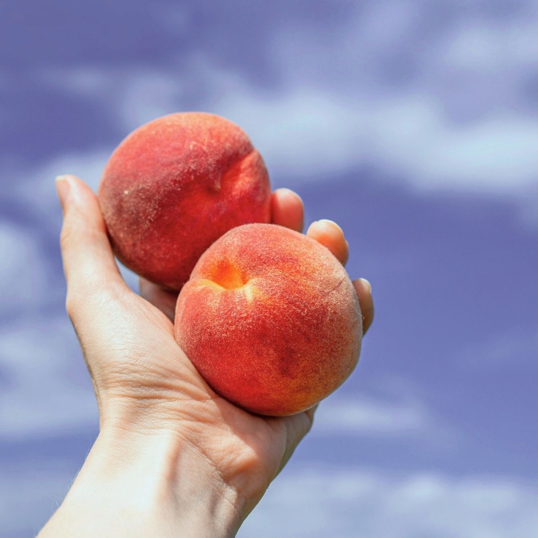 Hand holding two peaches against a blue sky